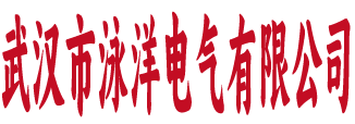 武汉市泳洋电气有限公司